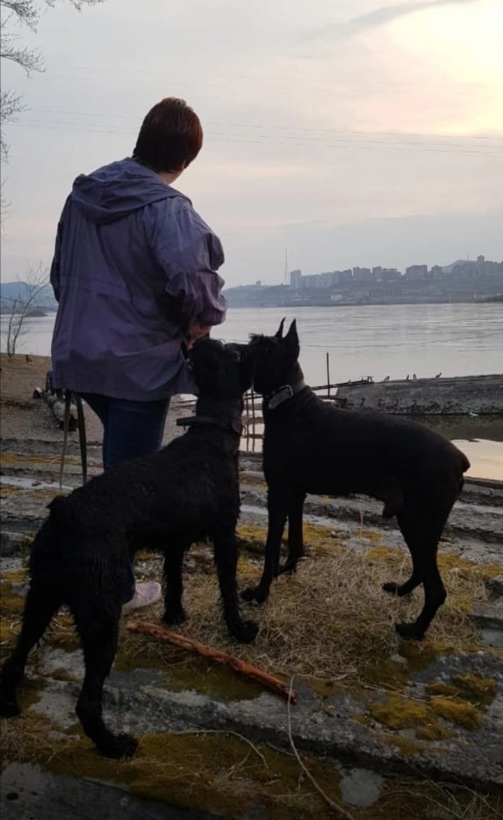 «Забота о животных точно не бизнес»: предприниматели Красноярска о питомцах и зоозащите
9 «Забота о животных точно не бизнес»: предприниматели Красноярска о питомцах и зоозащите
9