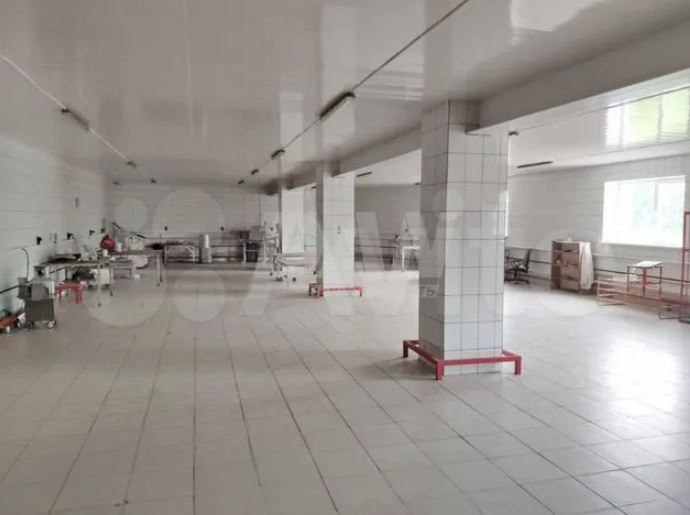 В Челябинске выставили на продажу колбасное производство 3 В Челябинске выставили на продажу колбасное производство 3