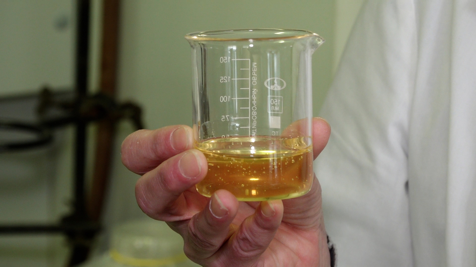 Фото: правительство Нижегородской области Фото: правительство Нижегородской области