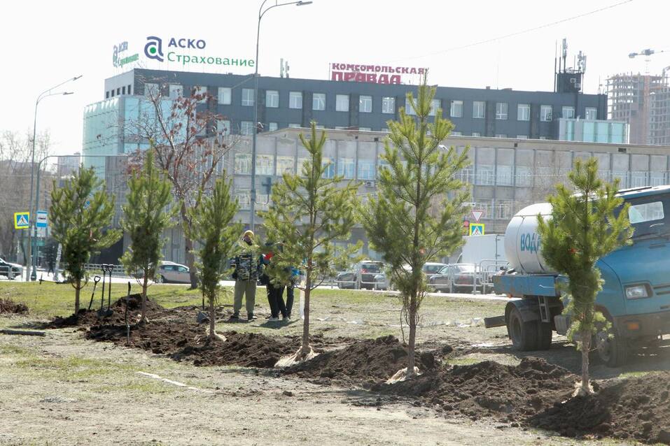 Бывший Сад камней в центре Челябинска сделают похожим на Алое поле 2