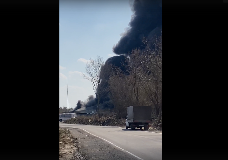 Фото: соцсети Фото: соцсети