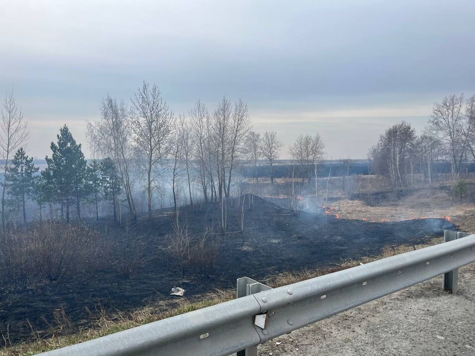 Тюмень заволокло дымом из-за пожаров на границе Свердловской и Курганской областей 1 Тюмень заволокло дымом из-за пожаров на границе Свердловской и Курганской областей 1