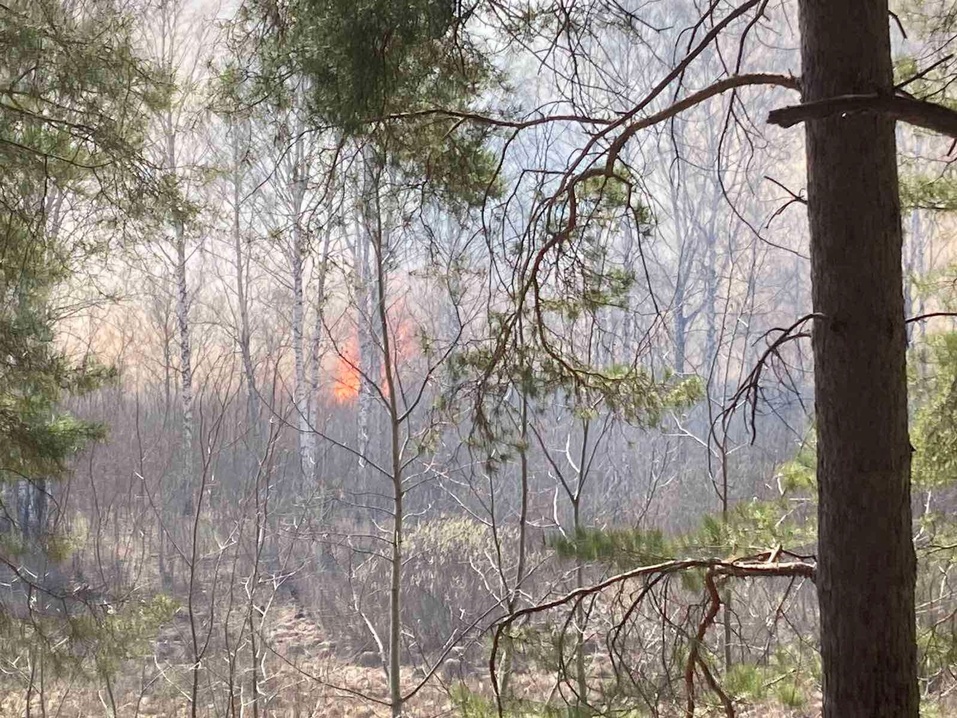 В окрестностях Тюмени начались природные пожары, горят жилые дома в деревнях 1 В окрестностях Тюмени начались природные пожары, горят жилые дома в деревнях 1