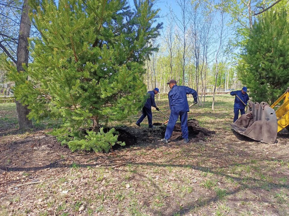 На окраине Челябинска появится первый в городе дендропарк. Фото 2 На окраине Челябинска появится первый в городе дендропарк. Фото 2