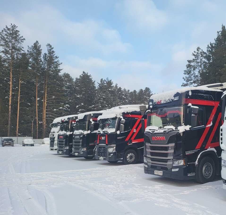 «На рынке международных перевозок есть свои короли, а мы улучшаем сервис в РФ» 2 «На рынке международных перевозок есть свои короли, а мы улучшаем сервис в РФ» 2