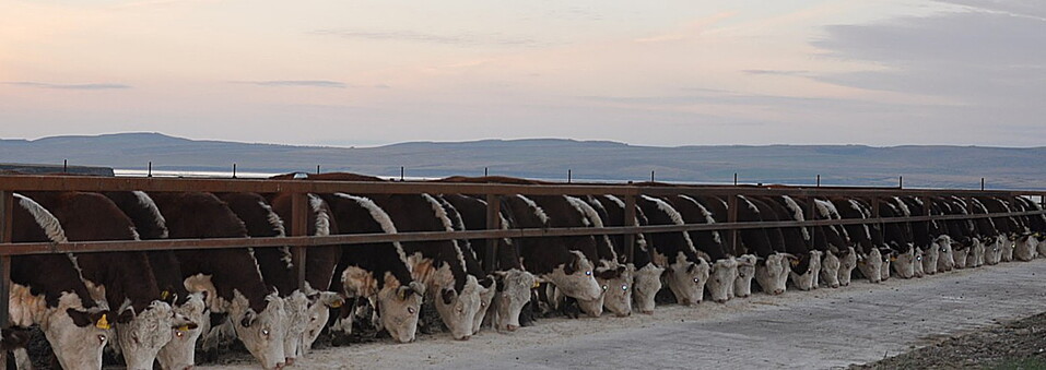 Фермеры могут получить на развитие семейных ферм гранты до 30 млн
1 Фермеры могут получить на развитие семейных ферм гранты до 30 млн
1