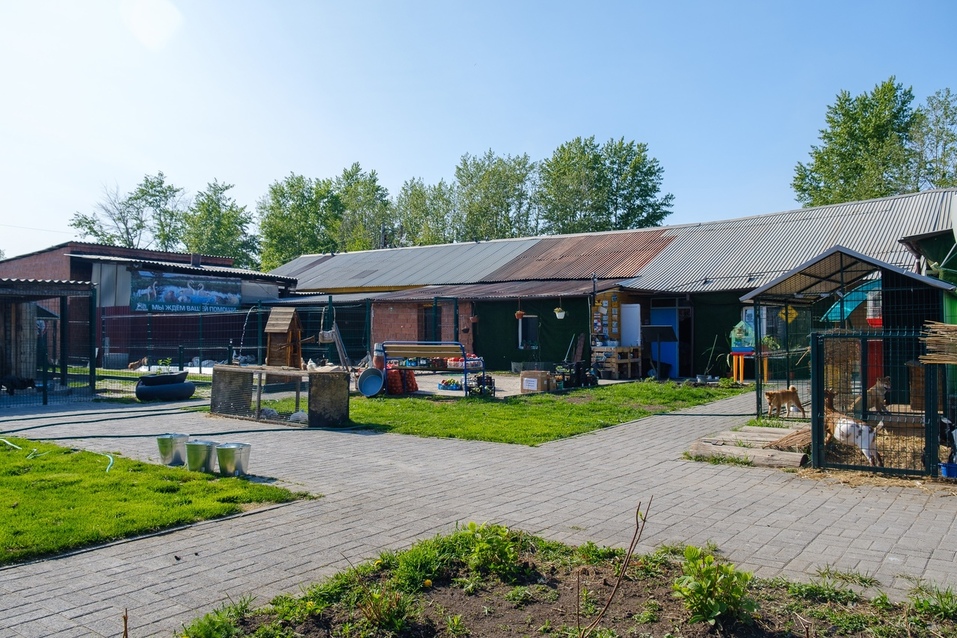 В Челябинске разгорается скандал вокруг приюта «Спаси меня» 1 В Челябинске разгорается скандал вокруг приюта «Спаси меня» 1