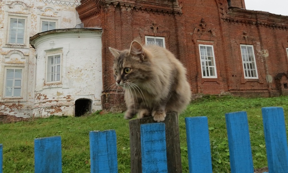 Чердынь: древняя столица княжества и родина пермского звериного стиля 6 Чердынь: древняя столица княжества и родина пермского звериного стиля 6