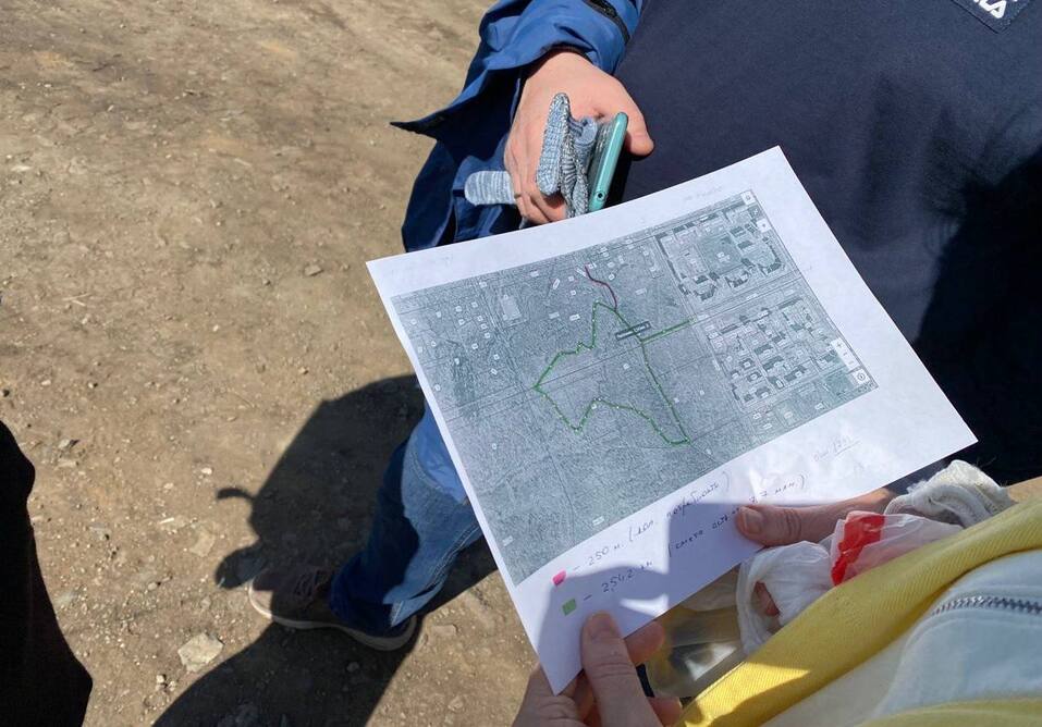 В лесу за Тополиной аллеей и ЖК «Ньютон» появится прогулочная зона. Фото 2 В лесу за Тополиной аллеей и ЖК «Ньютон» появится прогулочная зона. Фото 2