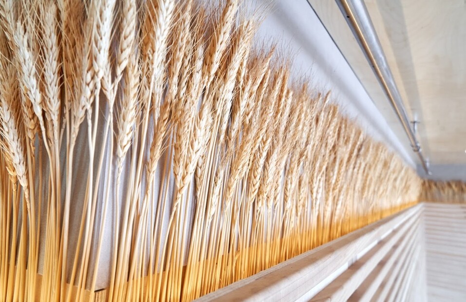 «Лето» в «Мегаполисе» откроется 5 июня 6 «Лето» в «Мегаполисе» откроется 5 июня 6