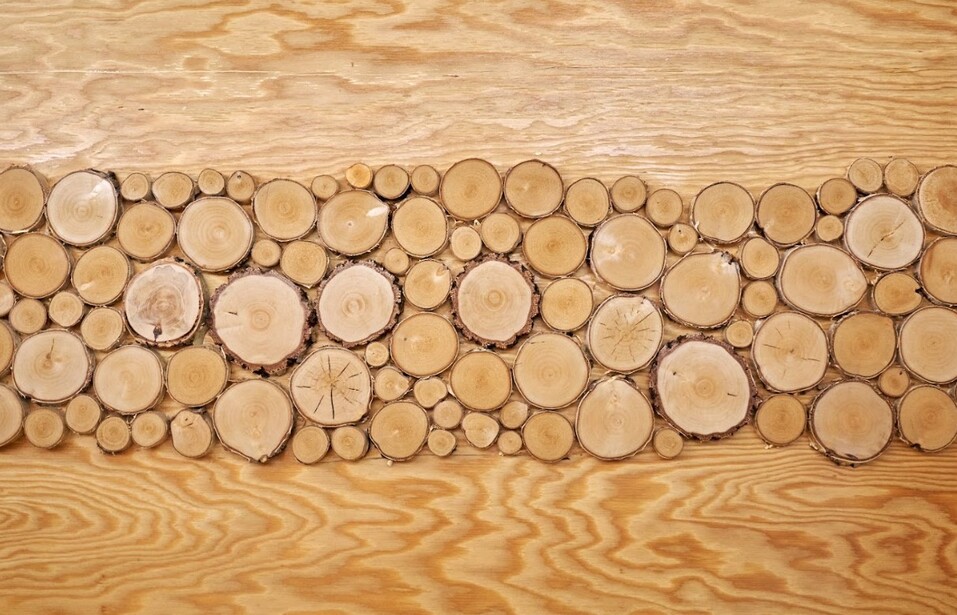 «Лето» в «Мегаполисе» откроется 5 июня 10 «Лето» в «Мегаполисе» откроется 5 июня 10