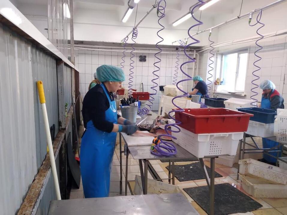 Крупные предприятия пищевой промышленности региона вошли в нацпроект 1 Крупные предприятия пищевой промышленности региона вошли в нацпроект 1