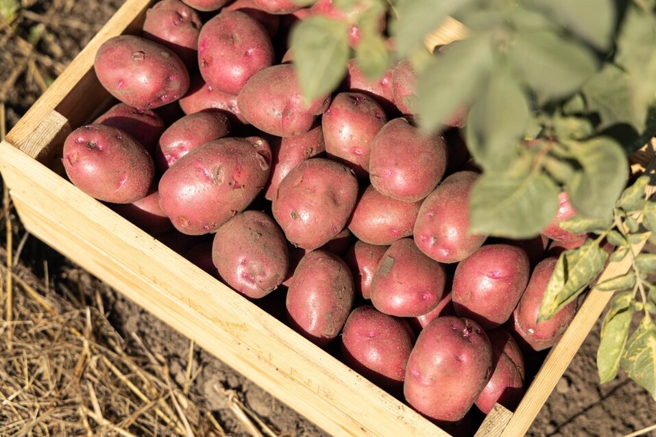 Анна Мишина: «Мы арендуем Землю у будущих поколений» 2 Анна Мишина: «Мы арендуем Землю у будущих поколений» 2