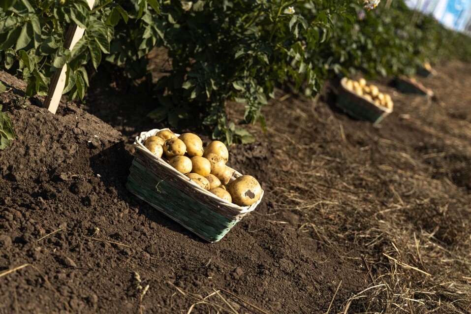 Анна Мишина: «Мы арендуем Землю у будущих поколений» 3 Анна Мишина: «Мы арендуем Землю у будущих поколений» 3