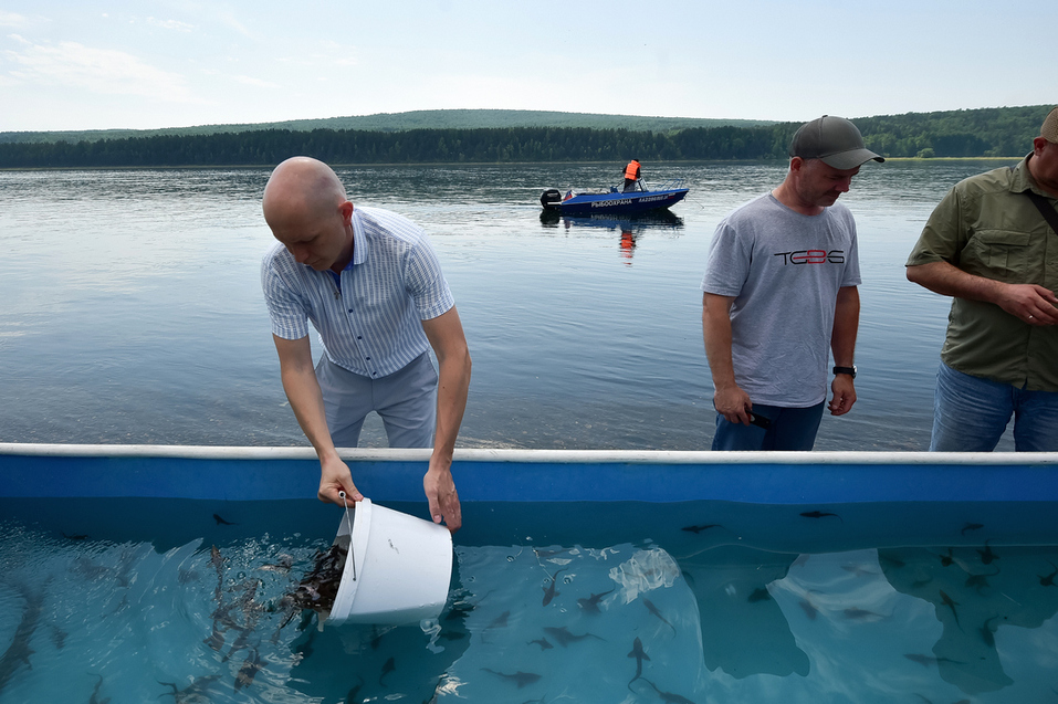 Красноярской Арктике добавят рыбного многообразия
1 Красноярской Арктике добавят рыбного многообразия
1