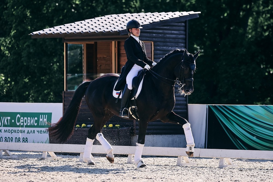 В нижегородском КСК «Пассаж» завершились чемпионат России по выездке и Кубок губернатора 5 В нижегородском КСК «Пассаж» завершились чемпионат России по выездке и Кубок губернатора 5