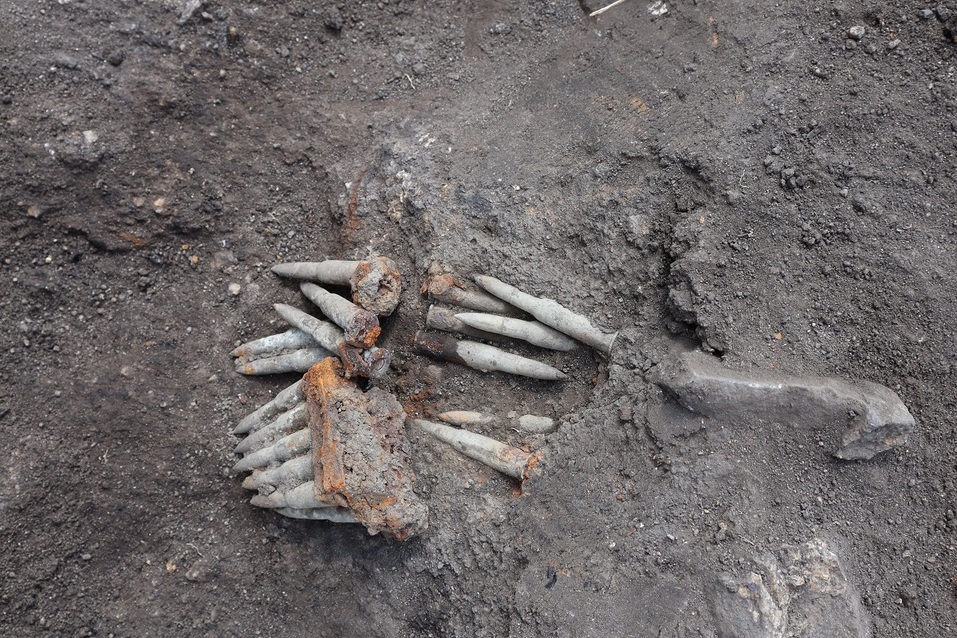 Егор Китов: «Археология — это очень сложный, но благородный бизнес» 6 Егор Китов: «Археология — это очень сложный, но благородный бизнес» 6