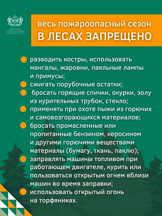 В Тюменской области отменили противопожарный режим и разрешили ходить в лес 1 В Тюменской области отменили противопожарный режим и разрешили ходить в лес 1
