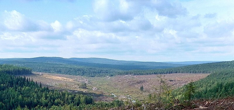 Иргиредмет защитил проект карьера магнезита в Красноярском крае
1 Иргиредмет защитил проект карьера магнезита в Красноярском крае
1