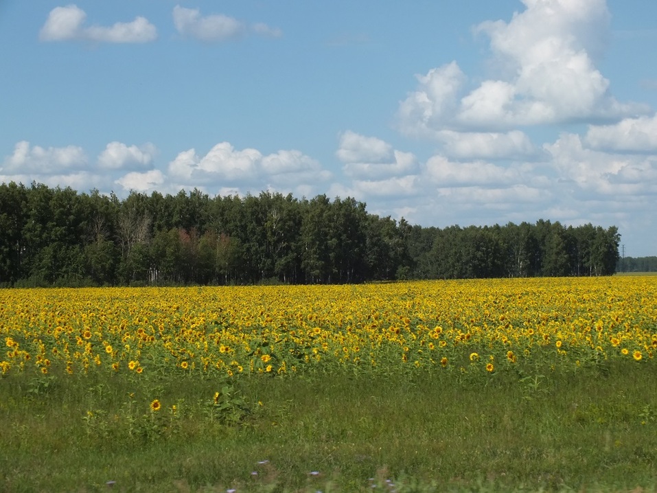 Как собрать калейдоскоп впечатлений по дороге из Екатеринбурга в Горный Алтай 3 Как собрать калейдоскоп впечатлений по дороге из Екатеринбурга в Горный Алтай 3