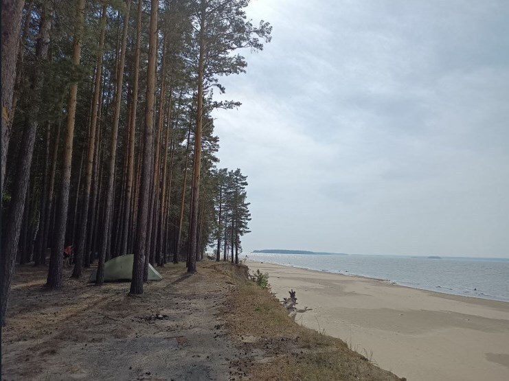 Июль в Новосибирске культурном будет наполнен кино 4 Июль в Новосибирске культурном будет наполнен кино 4