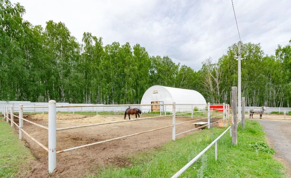В Челябинской области продают пони-ферму 3 В Челябинской области продают пони-ферму 3