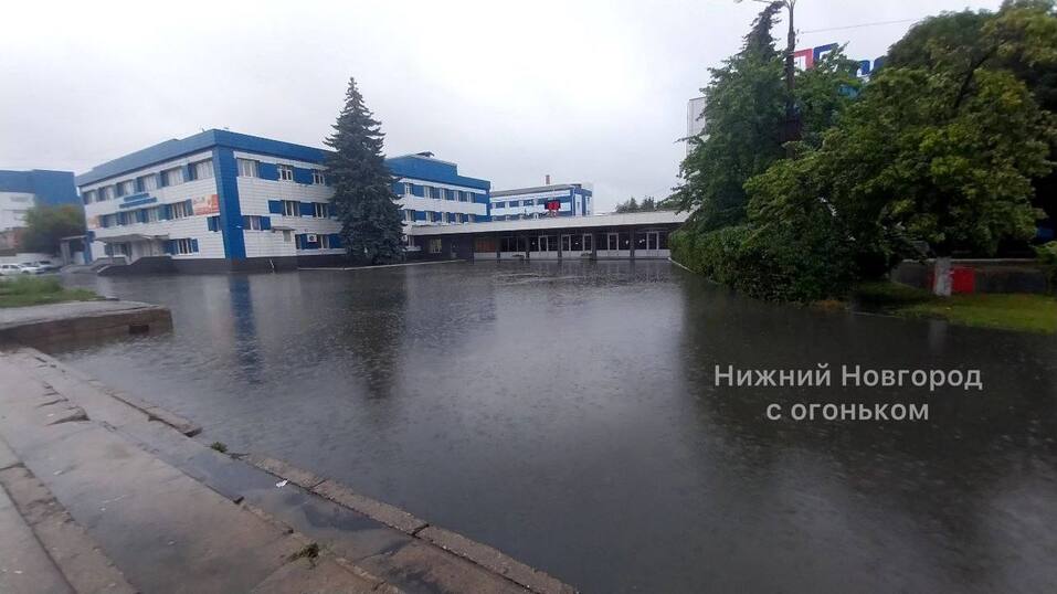 Фото: соцсети Фото: соцсети