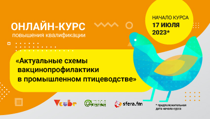 Как быстро выявить заболевание и вылечить птицу 1 Как быстро выявить заболевание и вылечить птицу 1