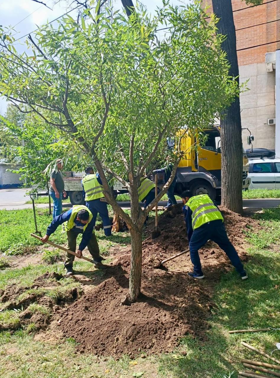 Фото: Юрий Шалабаев Фото: Юрий Шалабаев