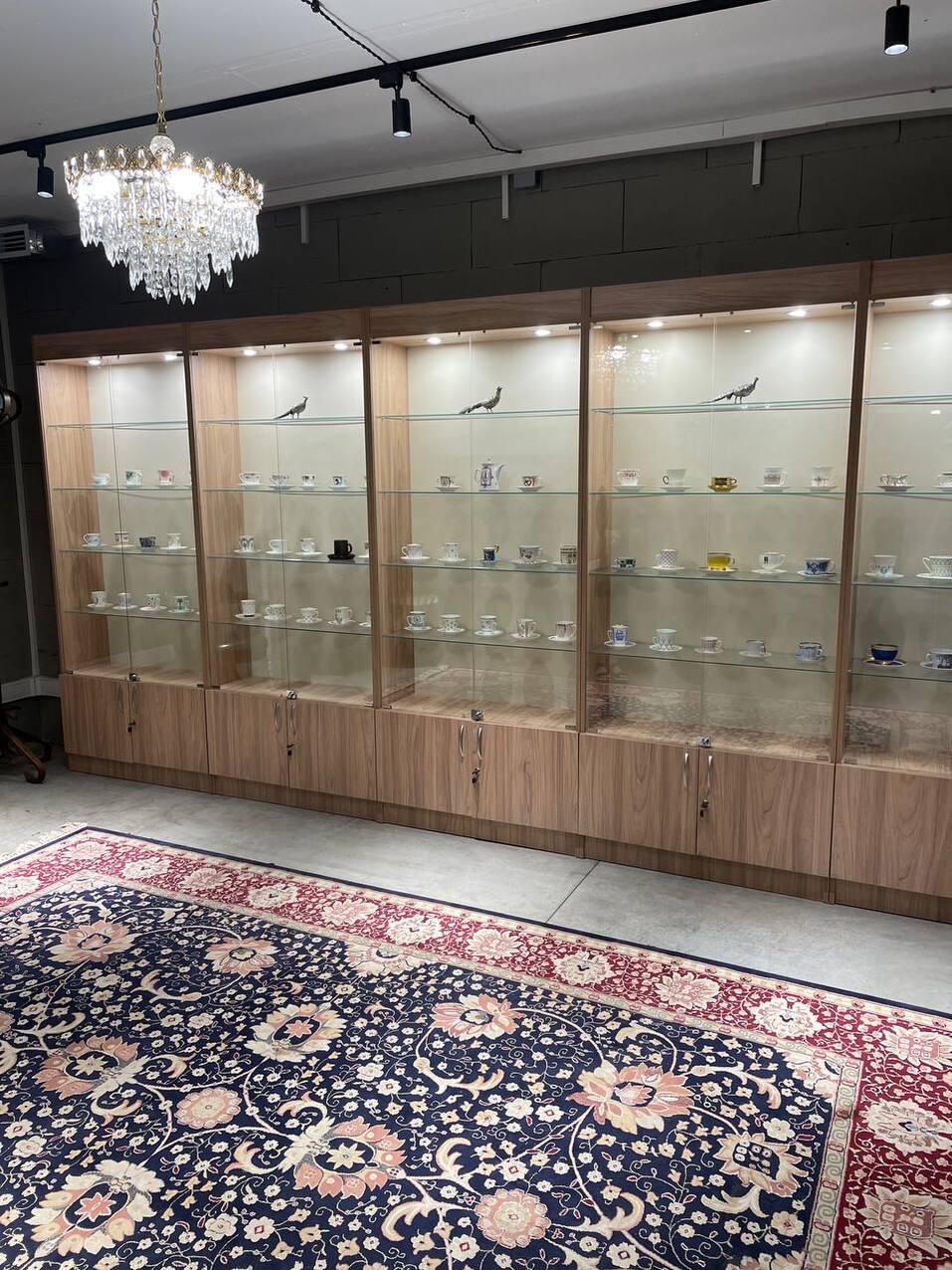 На радость ботаникам. В Челябинске открылась первая арт-оранжерея. ФОТО 5 На радость ботаникам. В Челябинске открылась первая арт-оранжерея. ФОТО 5