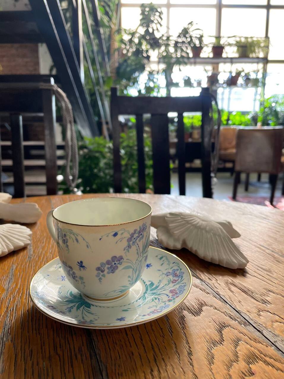 На радость ботаникам. В Челябинске открылась первая арт-оранжерея. ФОТО 6 На радость ботаникам. В Челябинске открылась первая арт-оранжерея. ФОТО 6