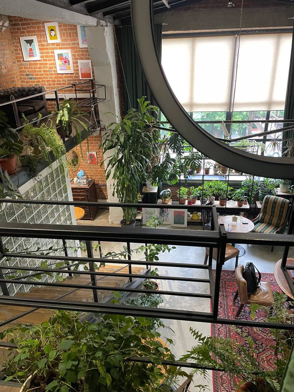 На радость ботаникам. В Челябинске открылась первая арт-оранжерея. ФОТО 2 На радость ботаникам. В Челябинске открылась первая арт-оранжерея. ФОТО 2