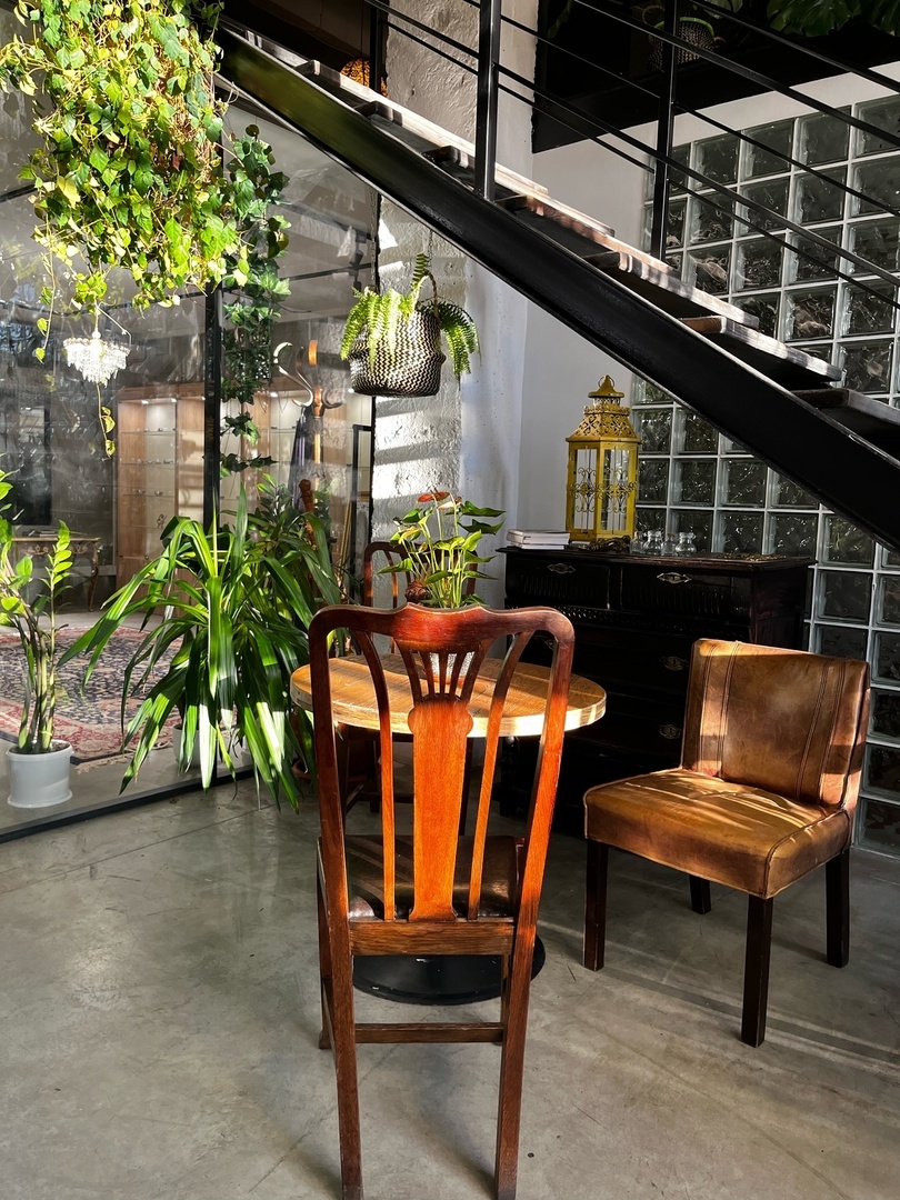 На радость ботаникам. В Челябинске открылась первая арт-оранжерея. ФОТО 9 На радость ботаникам. В Челябинске открылась первая арт-оранжерея. ФОТО 9