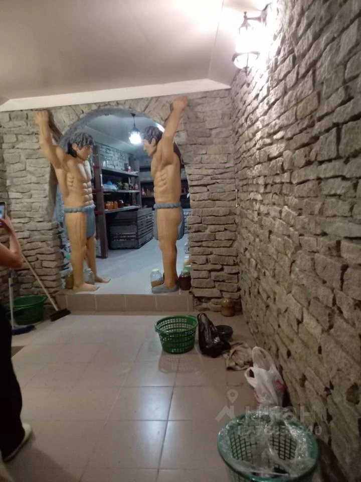 В Екатеринбурге выставили на продажу коттедж с тиграми и выходом на Шарташ за 55 млн руб. 2 В Екатеринбурге выставили на продажу коттедж с тиграми и выходом на Шарташ за 55 млн руб. 2