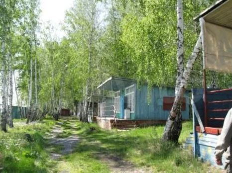 «Мечел» распродаёт южноуральские базы отдыха 1 «Мечел» распродаёт южноуральские базы отдыха 1