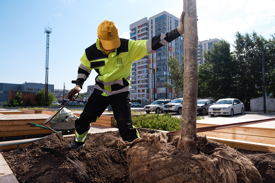 Ландшафтный дизайн — это образ жизни 3 Ландшафтный дизайн — это образ жизни 3