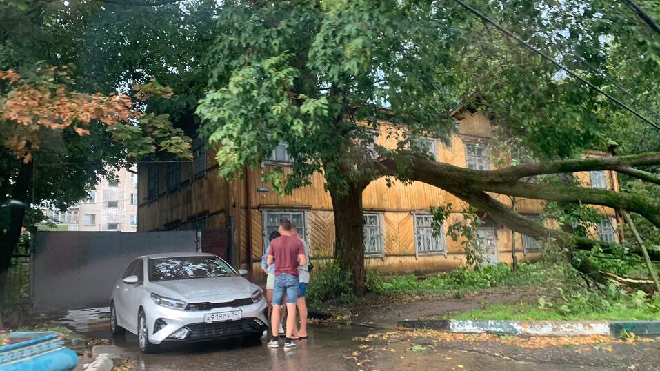 Фото: Александра Прусакова Фото: Александра Прусакова