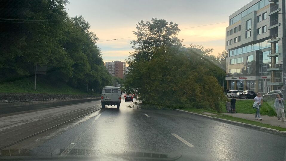 Фото: Александра Прусакова Фото: Александра Прусакова