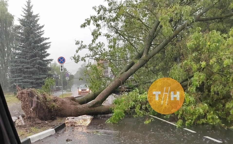 Фото: vk.com/typical_nn Фото: vk.com/typical_nn