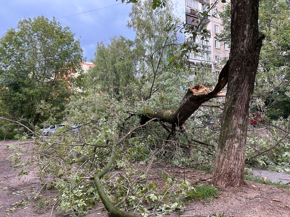 Фото: Александра Прусакова Фото: Александра Прусакова