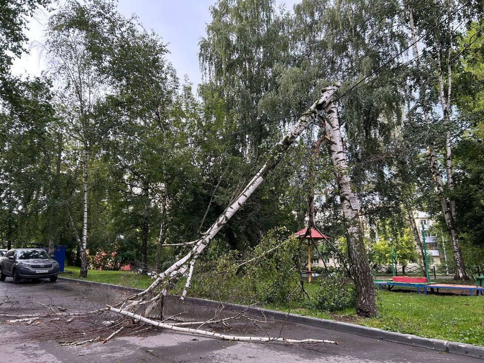 Фото: Александра Прусакова Фото: Александра Прусакова