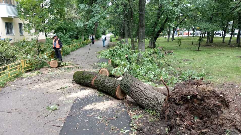 Фото: администрация Нижнего Новгорода Фото: администрация Нижнего Новгорода