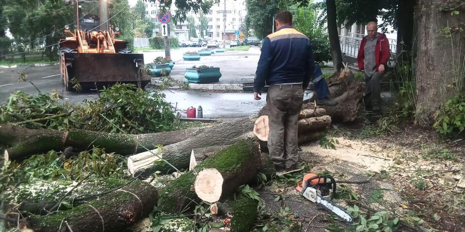 Фото: администрация Нижнего Новгорода Фото: администрация Нижнего Новгорода