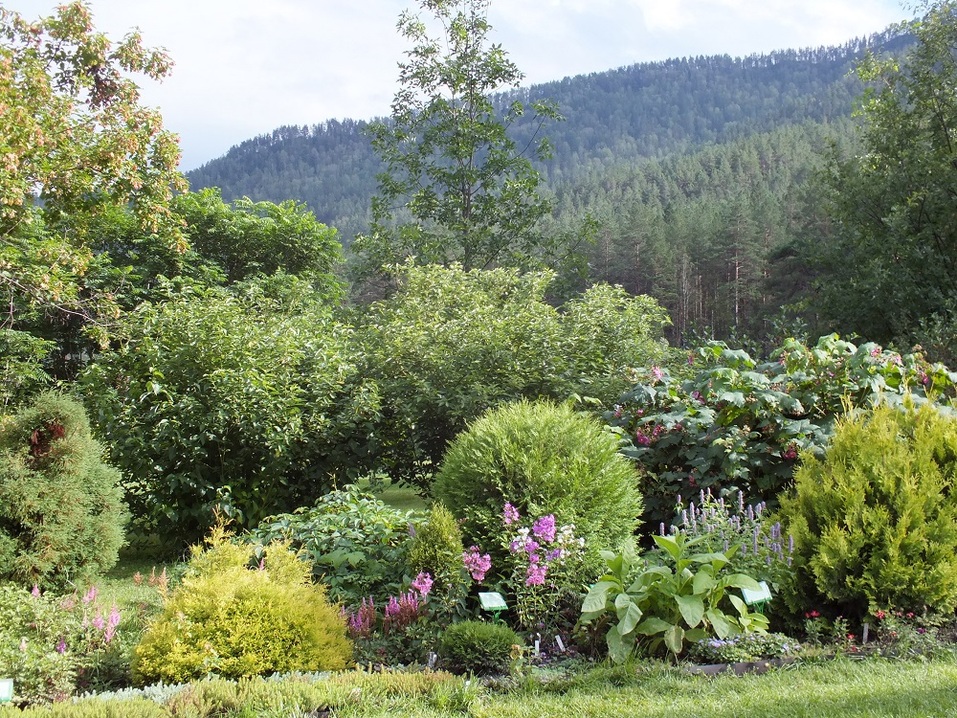 Ключ к Горному Алтаю, одна из самых красивых автодорог мира — Чуйский тракт 2 Ключ к Горному Алтаю, одна из самых красивых автодорог мира — Чуйский тракт 2