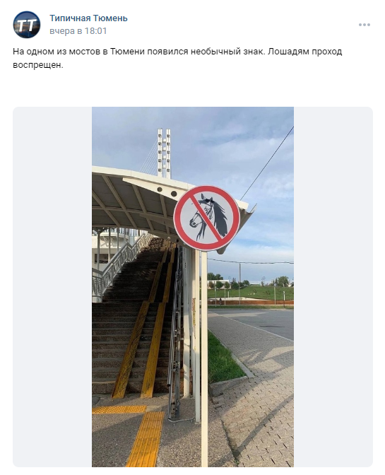 Жителей Тюмени не будут штрафовать за перевод коней через пешеходный мост 1 Жителей Тюмени не будут штрафовать за перевод коней через пешеходный мост 1