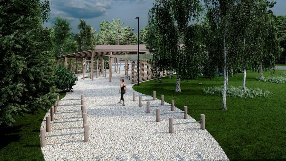 В Красноярске построят новый спортивный парк в березовой роще СФУ
3 В Красноярске построят новый спортивный парк в березовой роще СФУ
3