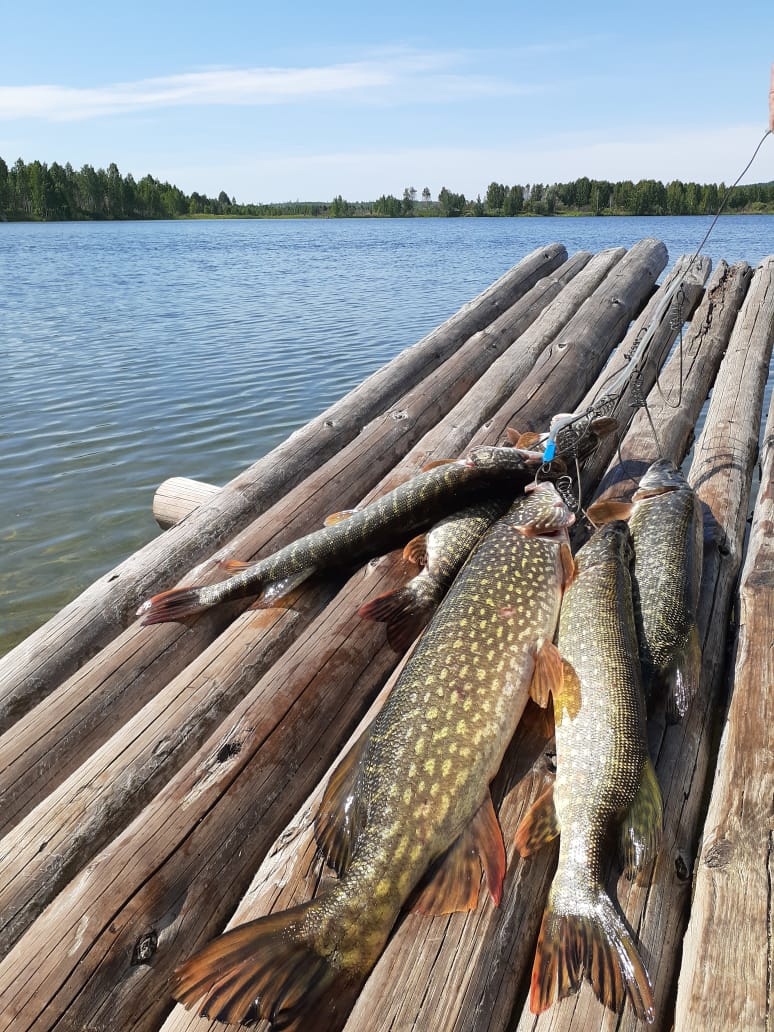 В Челябинской области продают озеро Тархун 5 В Челябинской области продают озеро Тархун 5