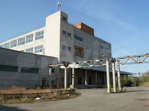 В Челябинской области продают заброшенный жиркомбинат 1 В Челябинской области продают заброшенный жиркомбинат 1