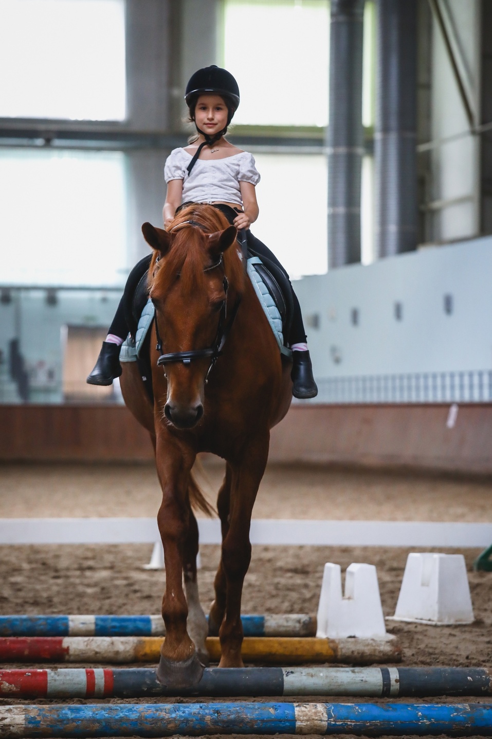 Детство, лошади, досуговый центр «Рифей» 7 Детство, лошади, досуговый центр «Рифей» 7