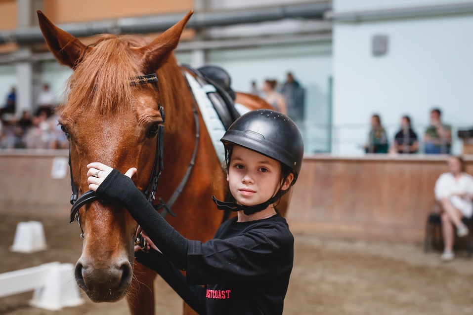Детство, лошади, досуговый центр «Рифей» 1 Детство, лошади, досуговый центр «Рифей» 1